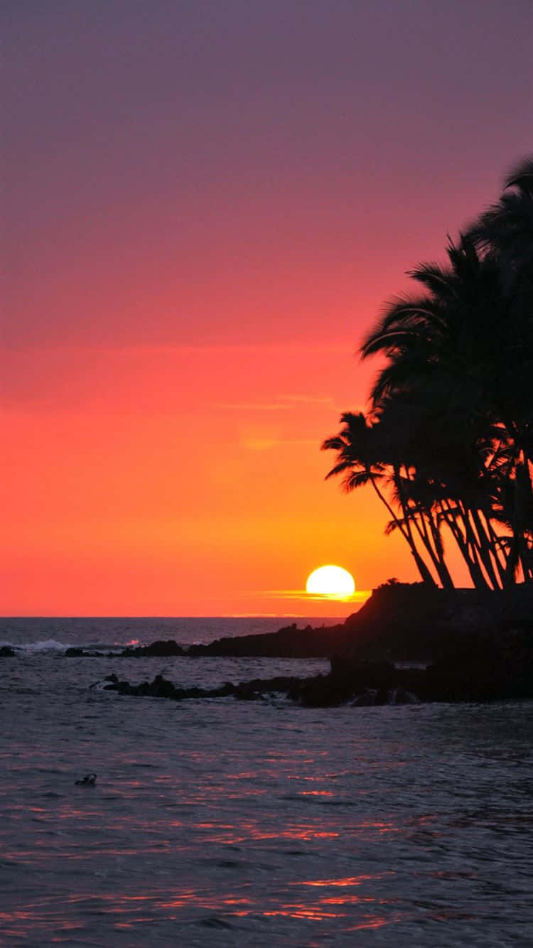Hawaii Sunset, fiery orange, pink, HD Phone Wallpaper