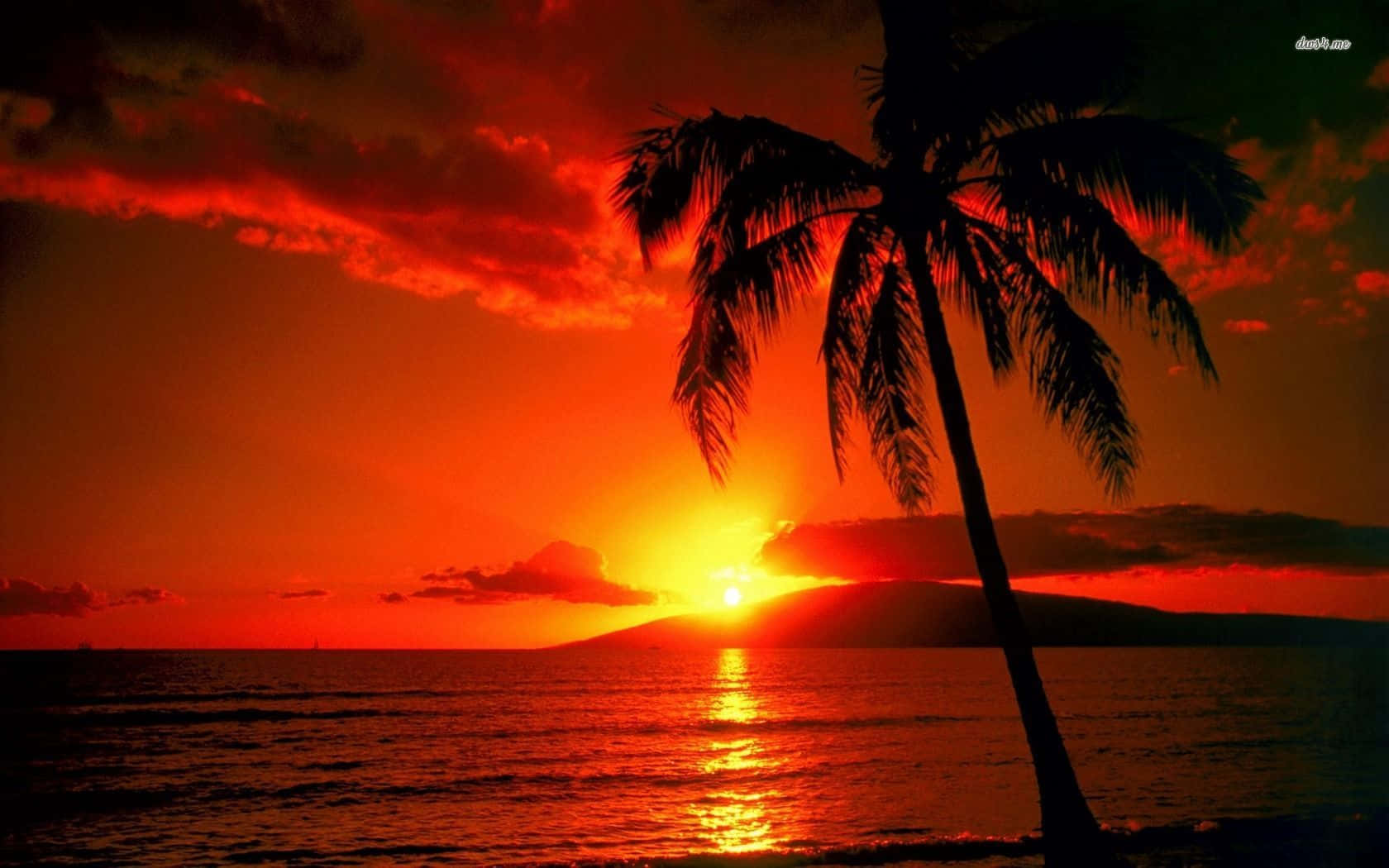 Hawaii Sunset, fiery orange sunset, calm ocean waters, HD Desktop Wallpaper