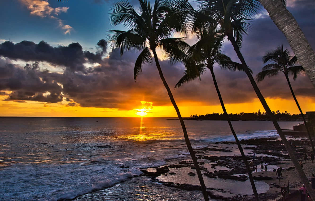 Hawaii Sunset, palm trees, vibrant sunset, HD Desktop Wallpaper