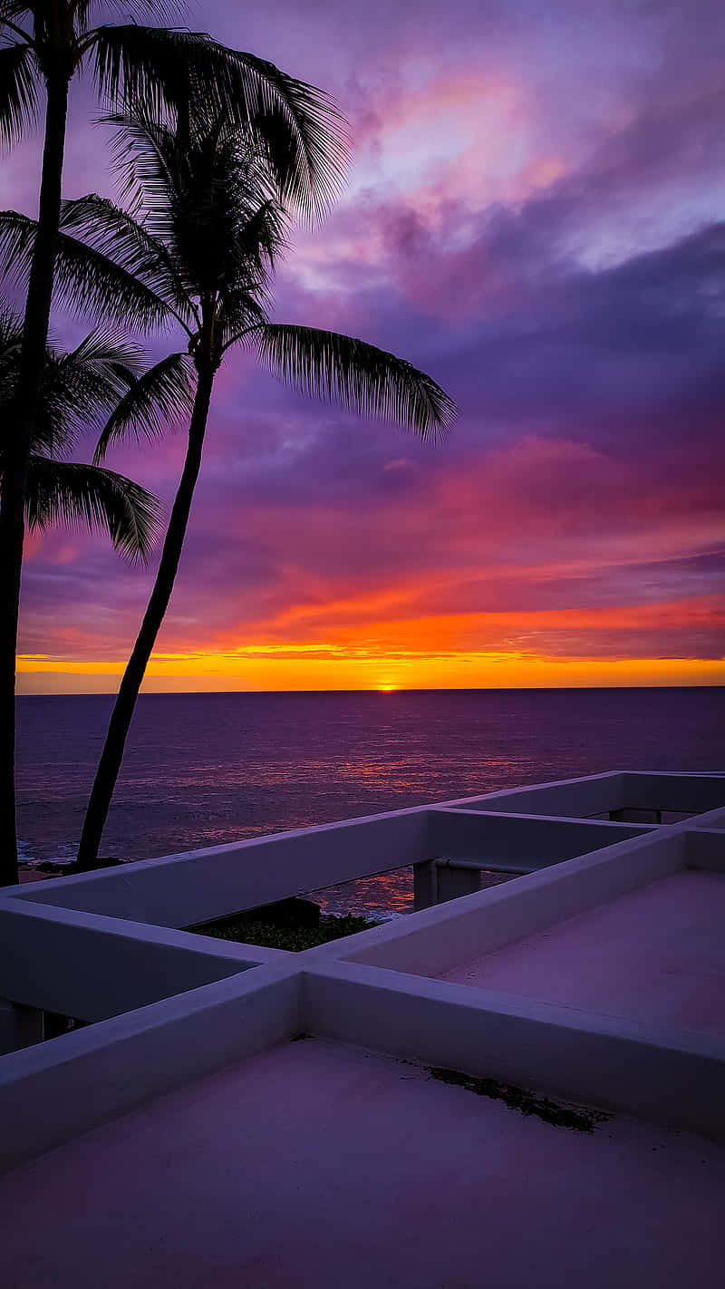 Hawaii Sunset, palm tree, ocean, HD Phone Wallpaper