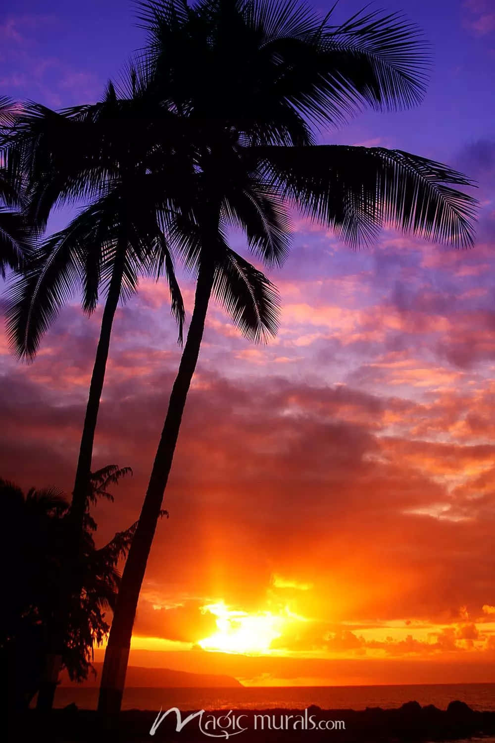 Hawaii Sunset, palm trees, fiery sunset, HD Phone Wallpaper