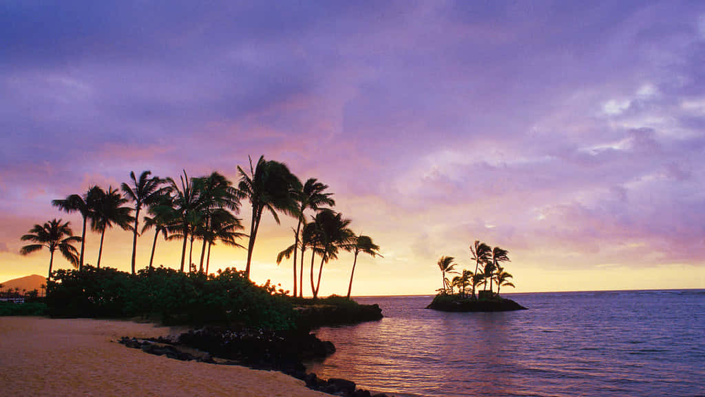 Hawaii Sunset, palm trees, tropical beach, SD Desktop Wallpaper