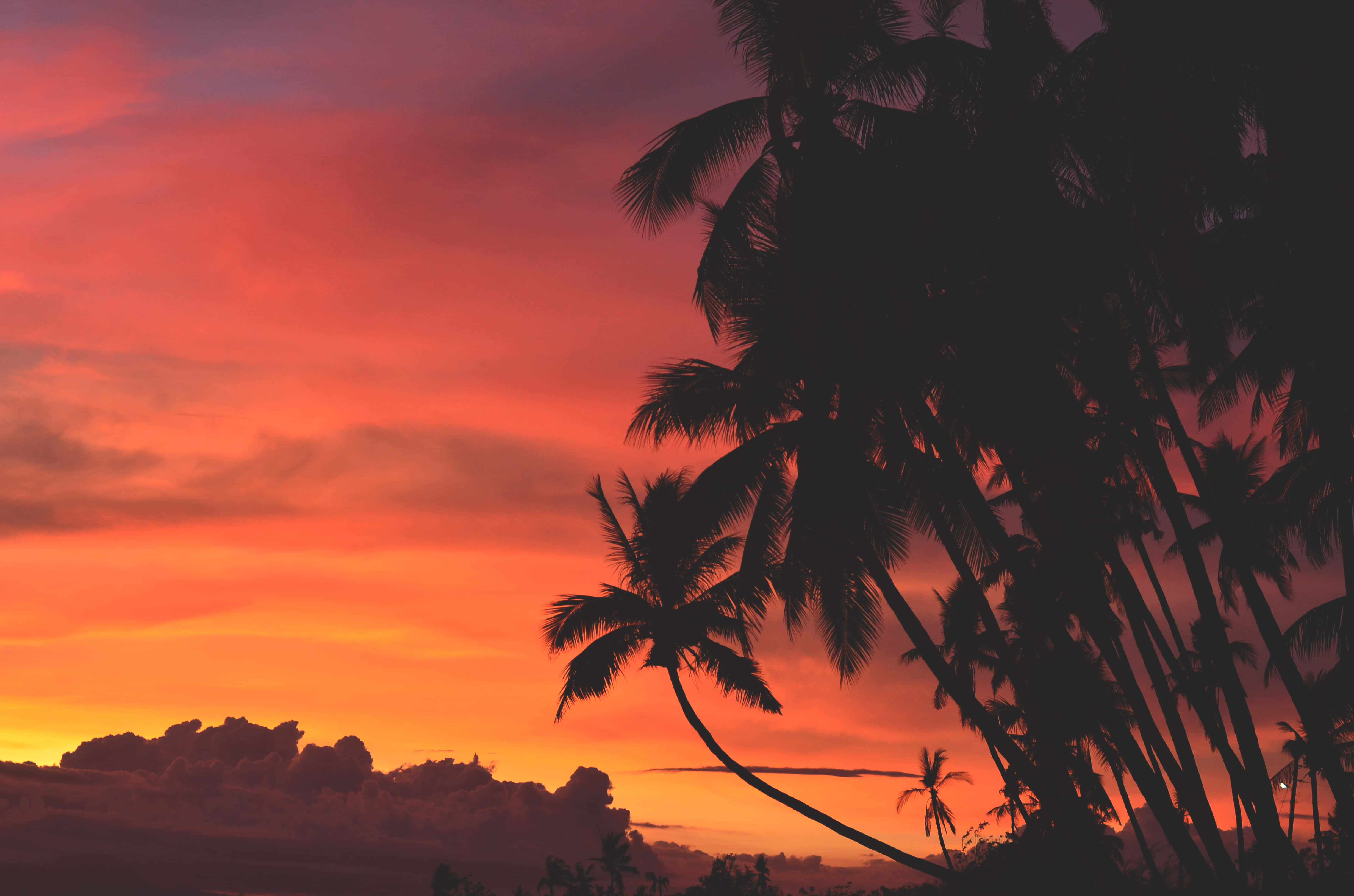 Hawaii Sunset, fiery orange, pink sunset sky, 4K Desktop Wallpaper