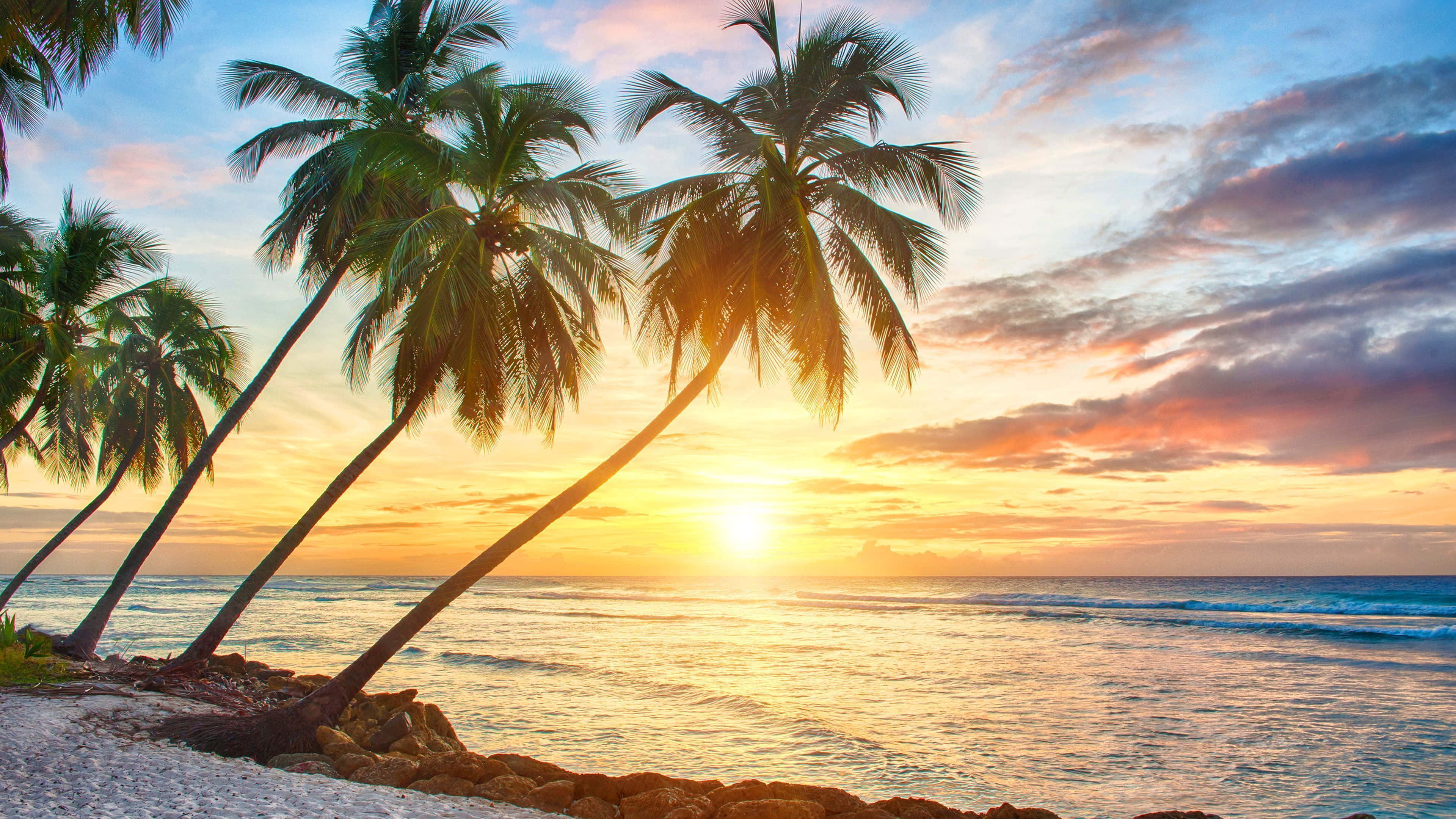 Hawaii Sunset, Sunset, palm trees, 4K Desktop Wallpaper