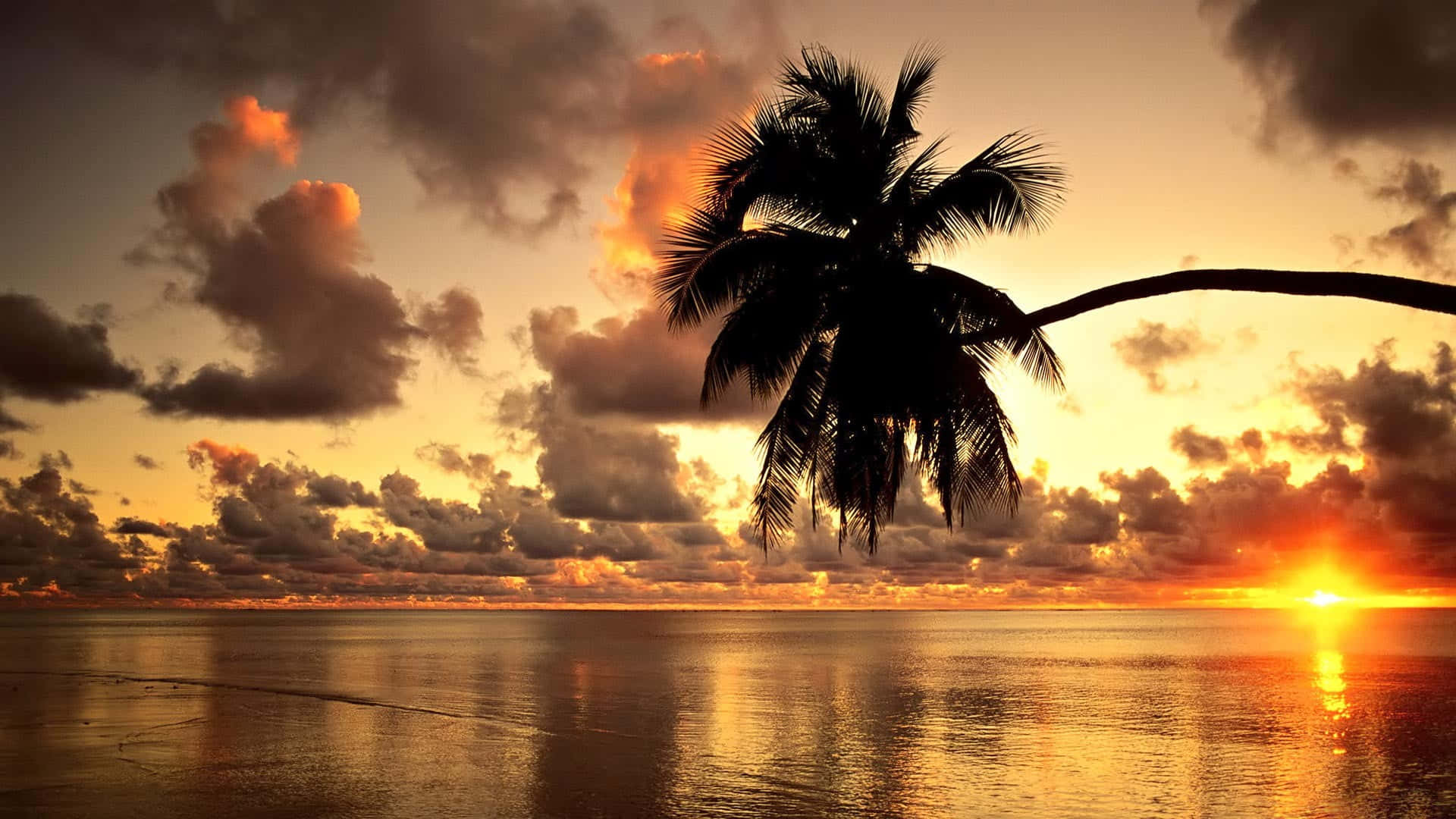 Hawaii Sunset, fiery sunset, calm ocean waters, Full HD Desktop Wallpaper