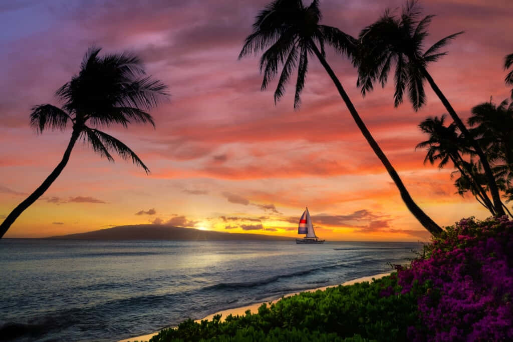 Hawaii Sunset, palm trees, sailboat, SD Desktop Wallpaper