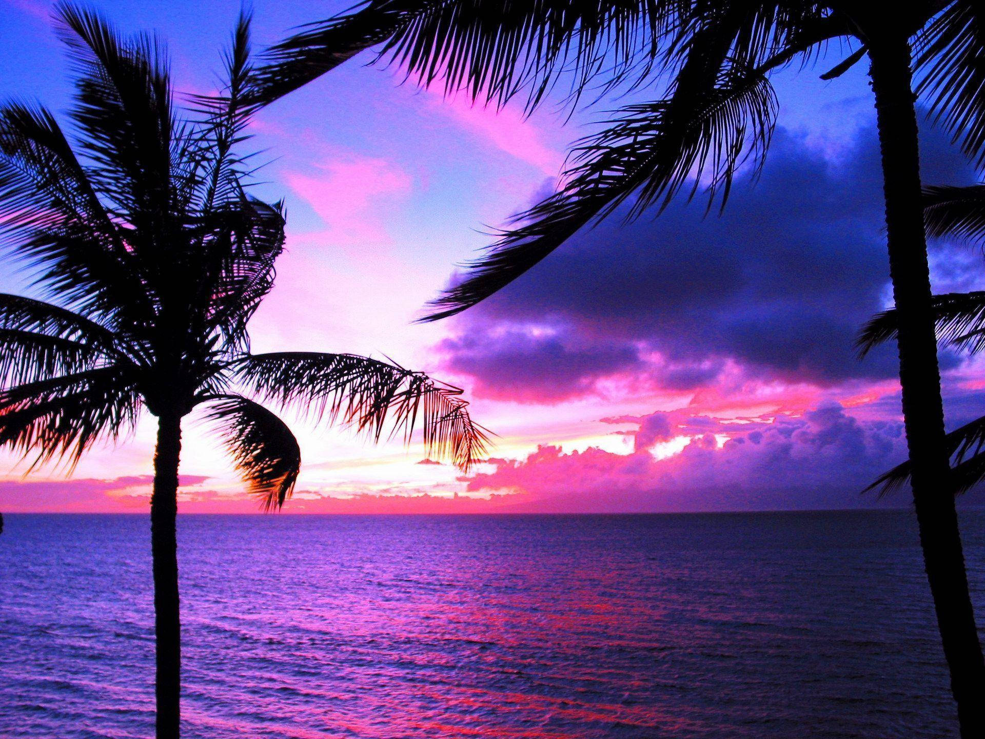 Hawaii, purple sky, sunset, Full HD Desktop Wallpaper