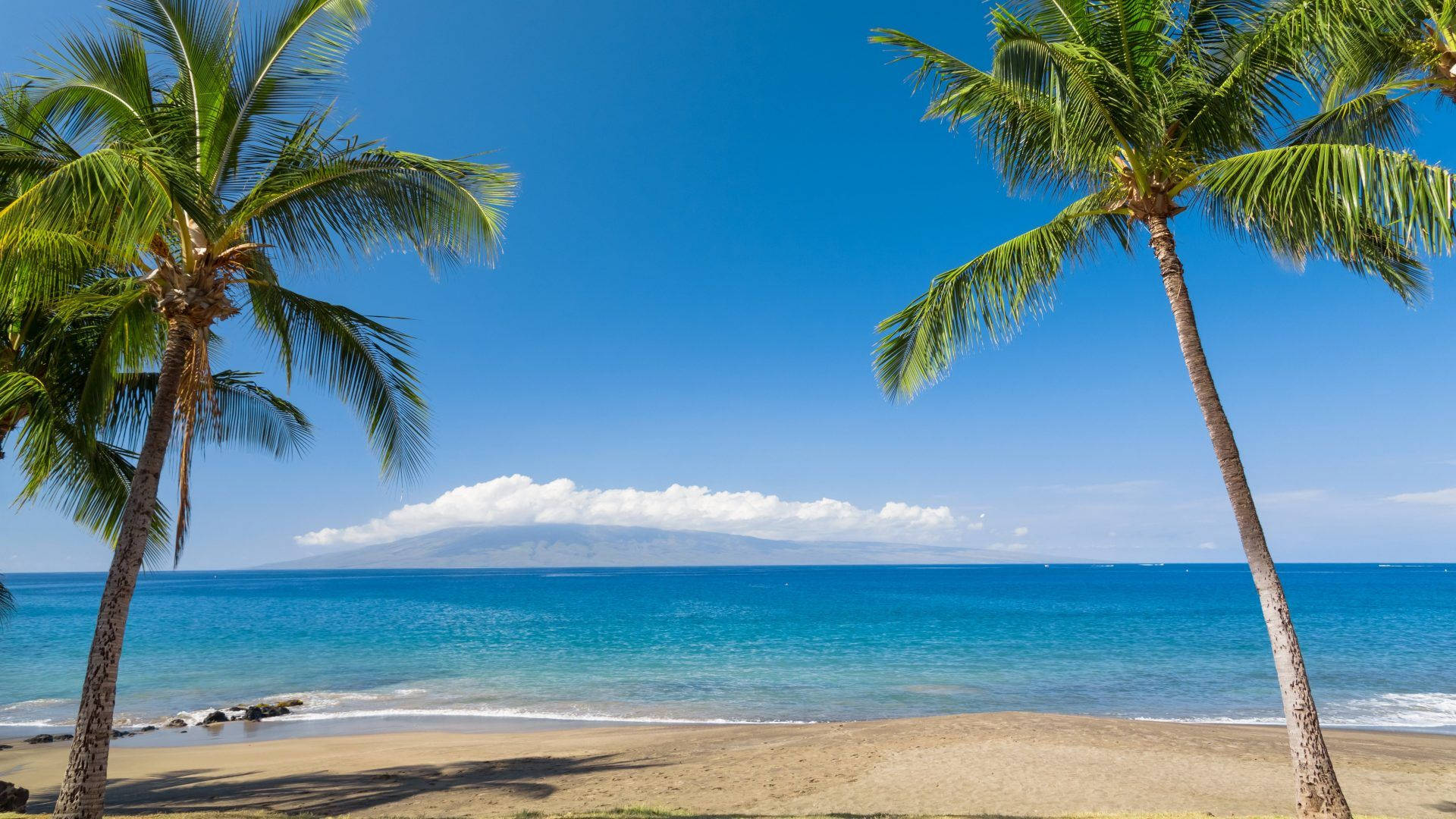Hawaii, palm trees, turquoise ocean, Full HD Desktop Wallpaper