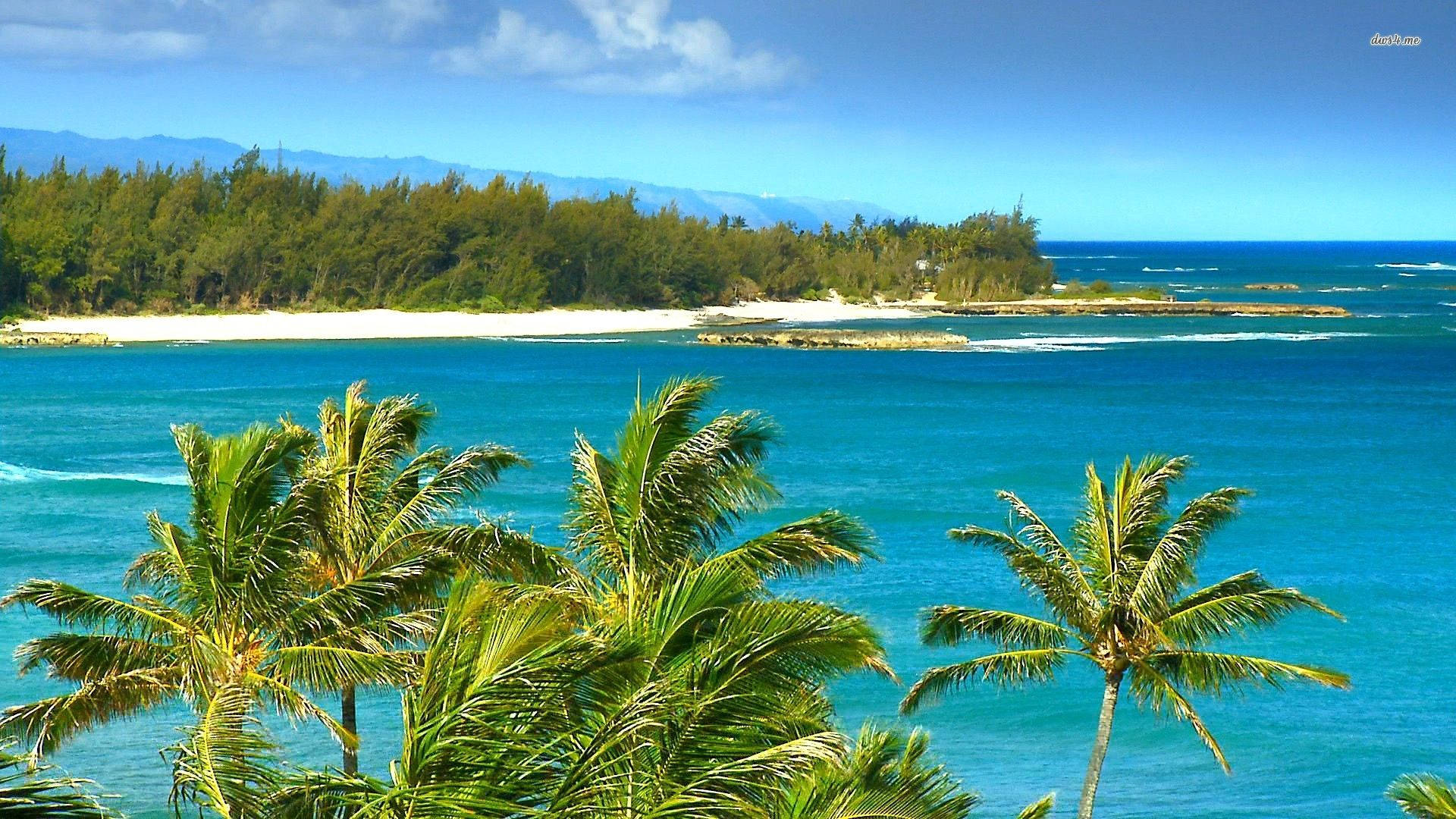 Hawaii, tropical beach, turquoise ocean, Full HD Desktop Wallpaper