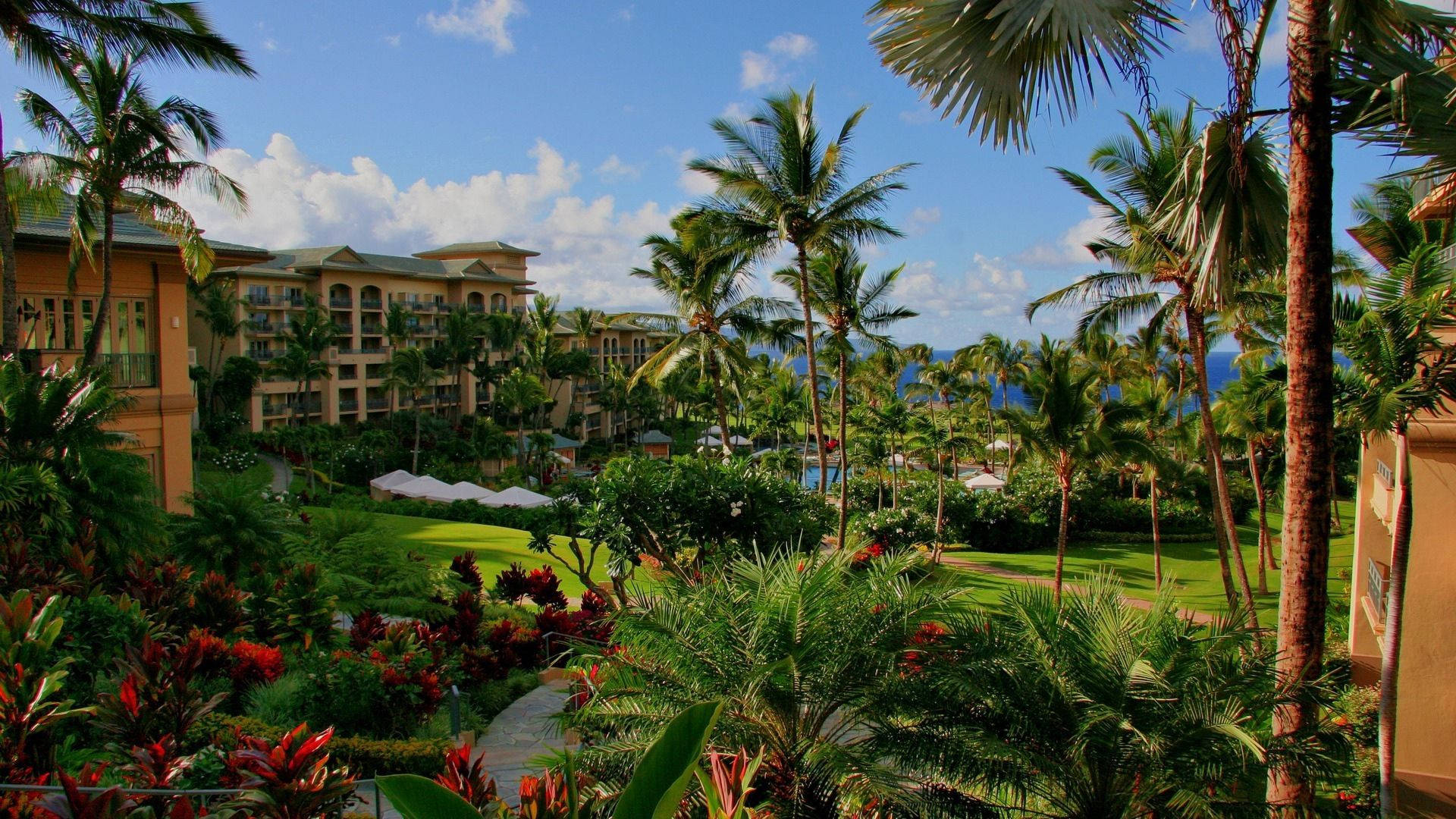 Hawaii, resort hotel, palm trees, Full HD Desktop Wallpaper