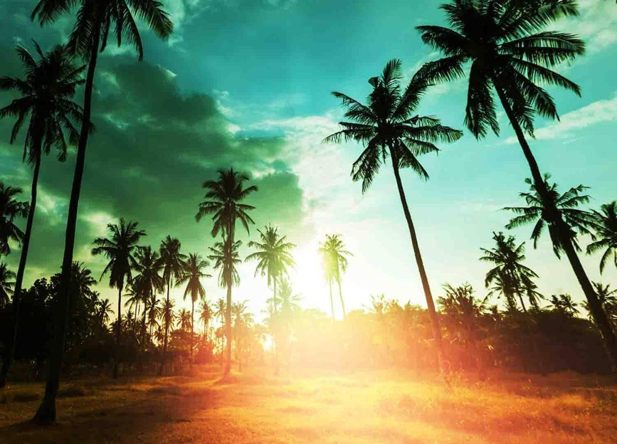 Hawaii, tropical blue green sky, teal and orange sunset sky, SD Desktop Wallpaper