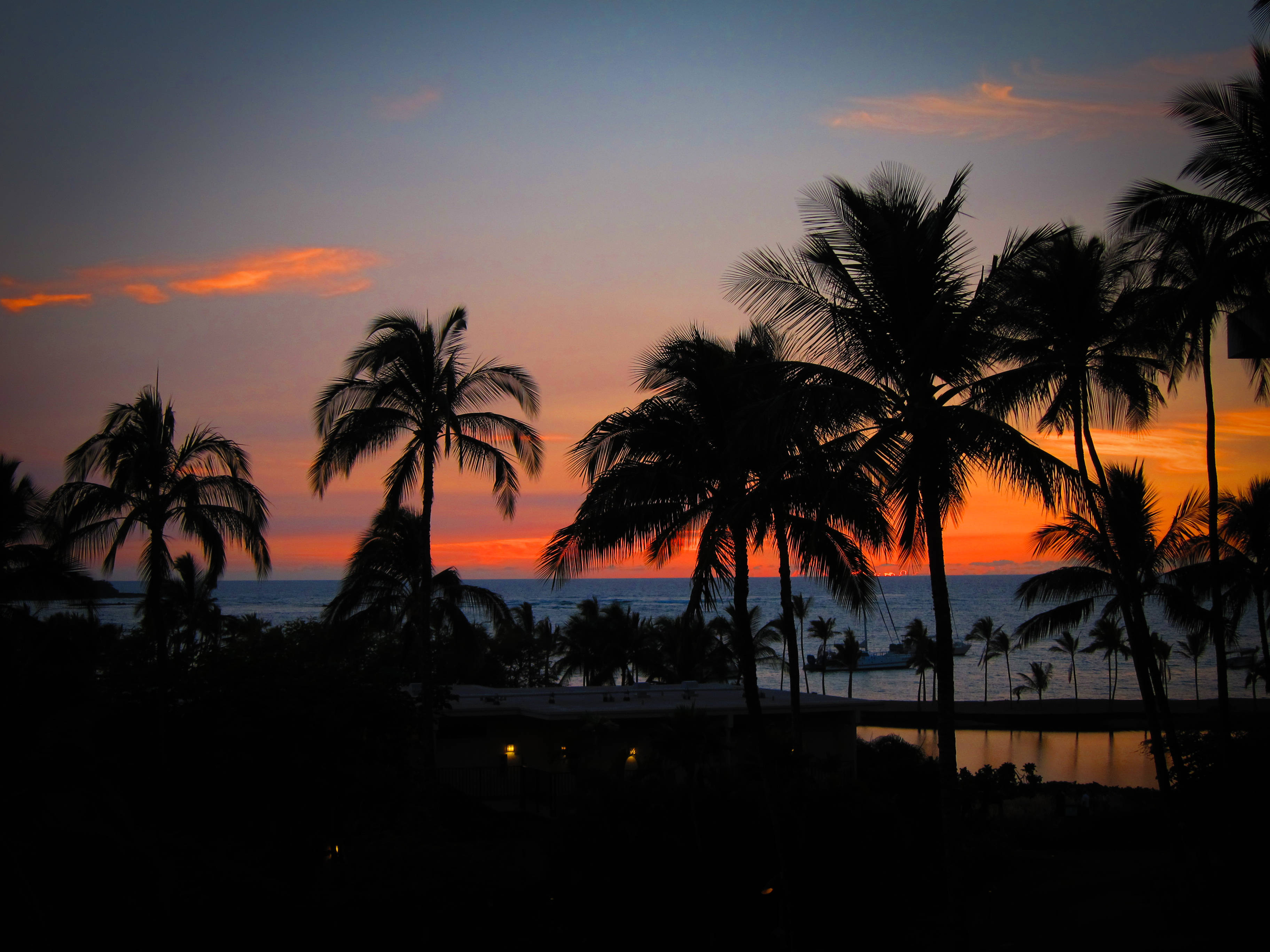 Hawaii, palm trees, silhouette, 2K Desktop Wallpaper