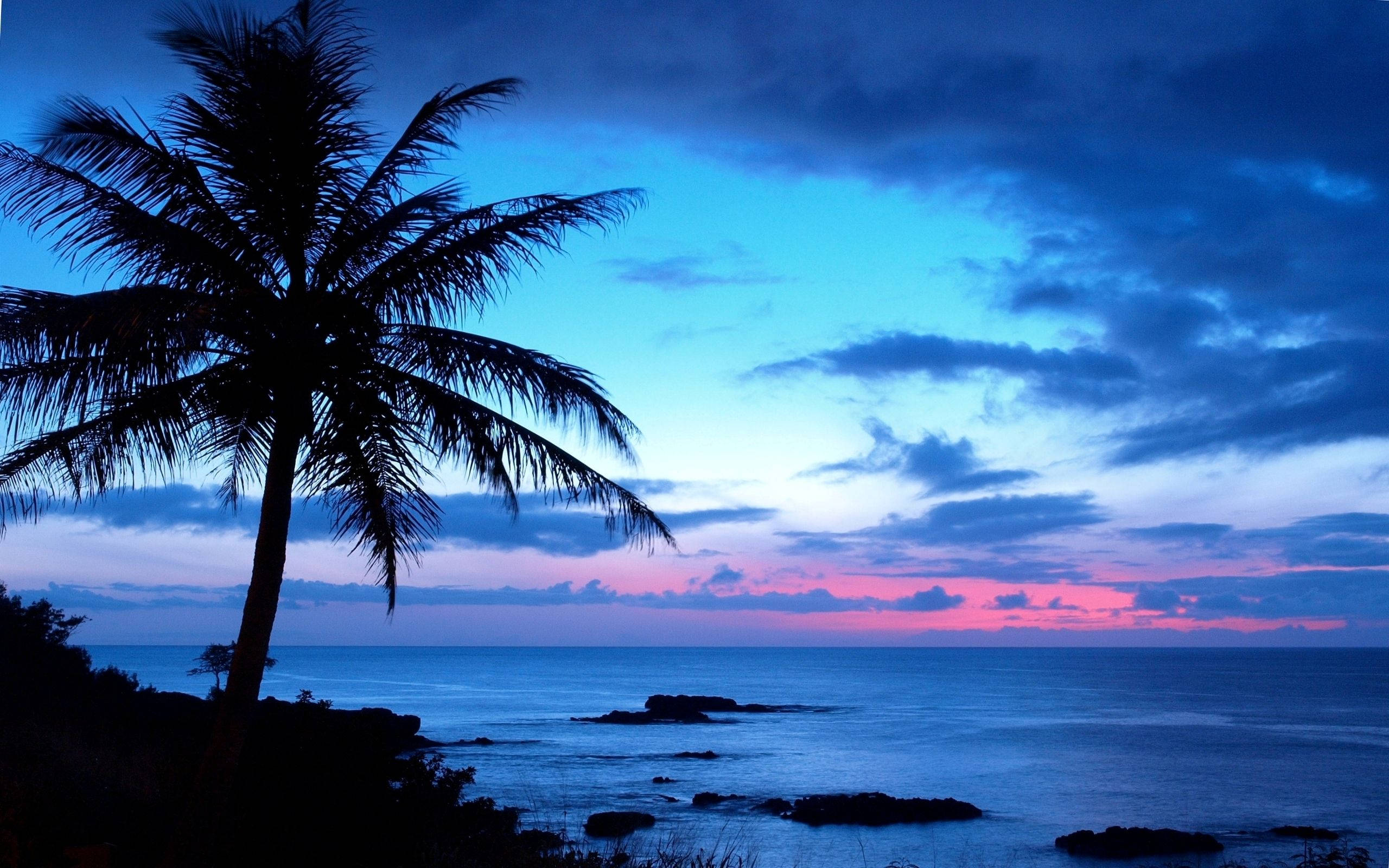 Hawaii, sunset, royal blue sky, 2K Desktop Wallpaper