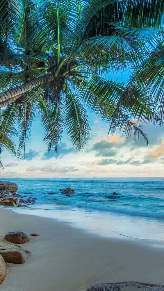 Hawaii, iPhone, tropical beach scene, SD Phone Wallpaper