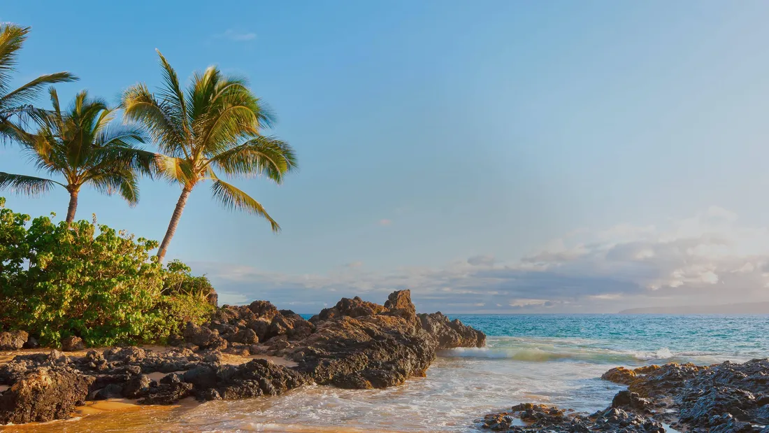 Hawaiian Beach