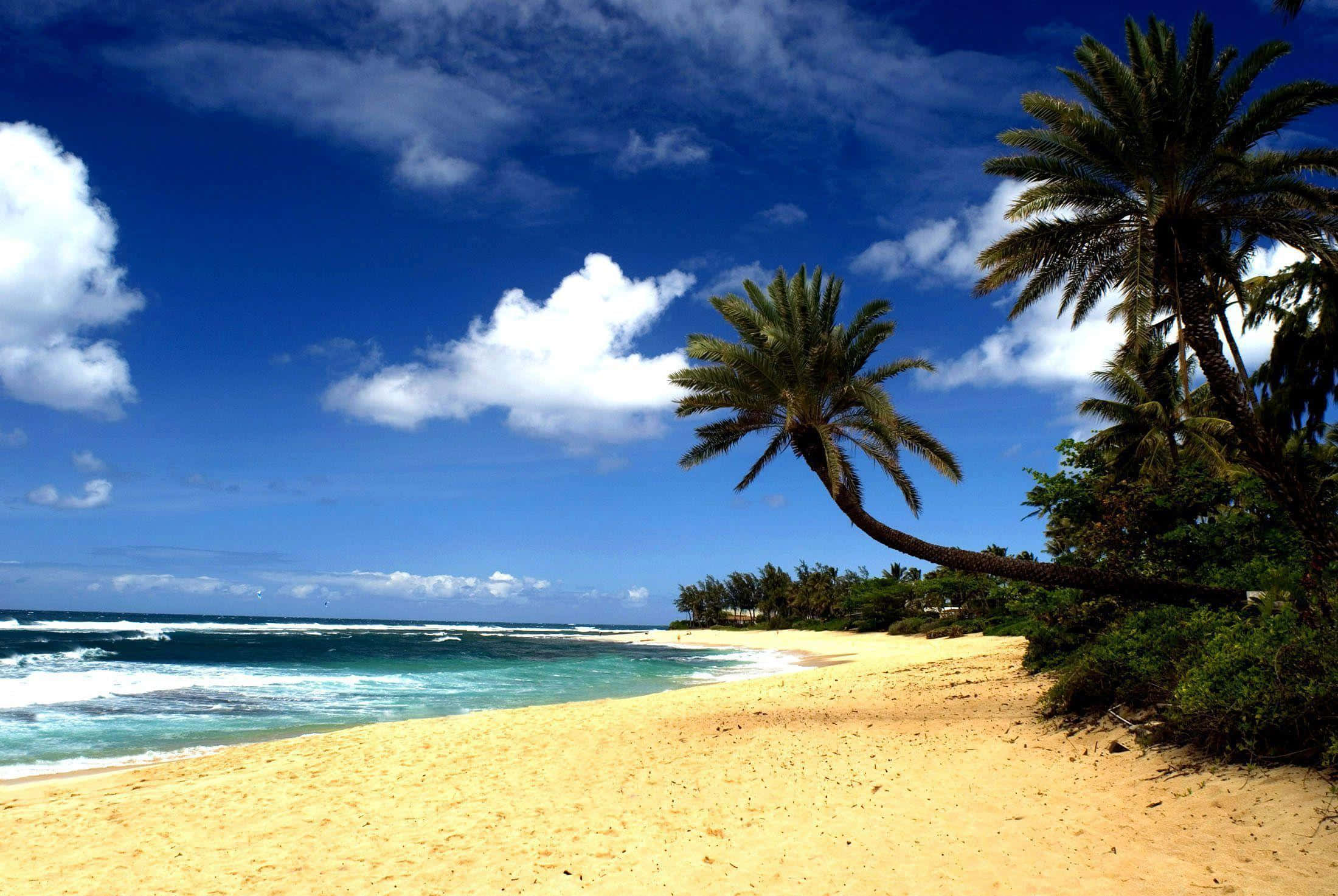 Hawaiian Beach, vibrant sunset, golden sand, Full HD Desktop Wallpaper