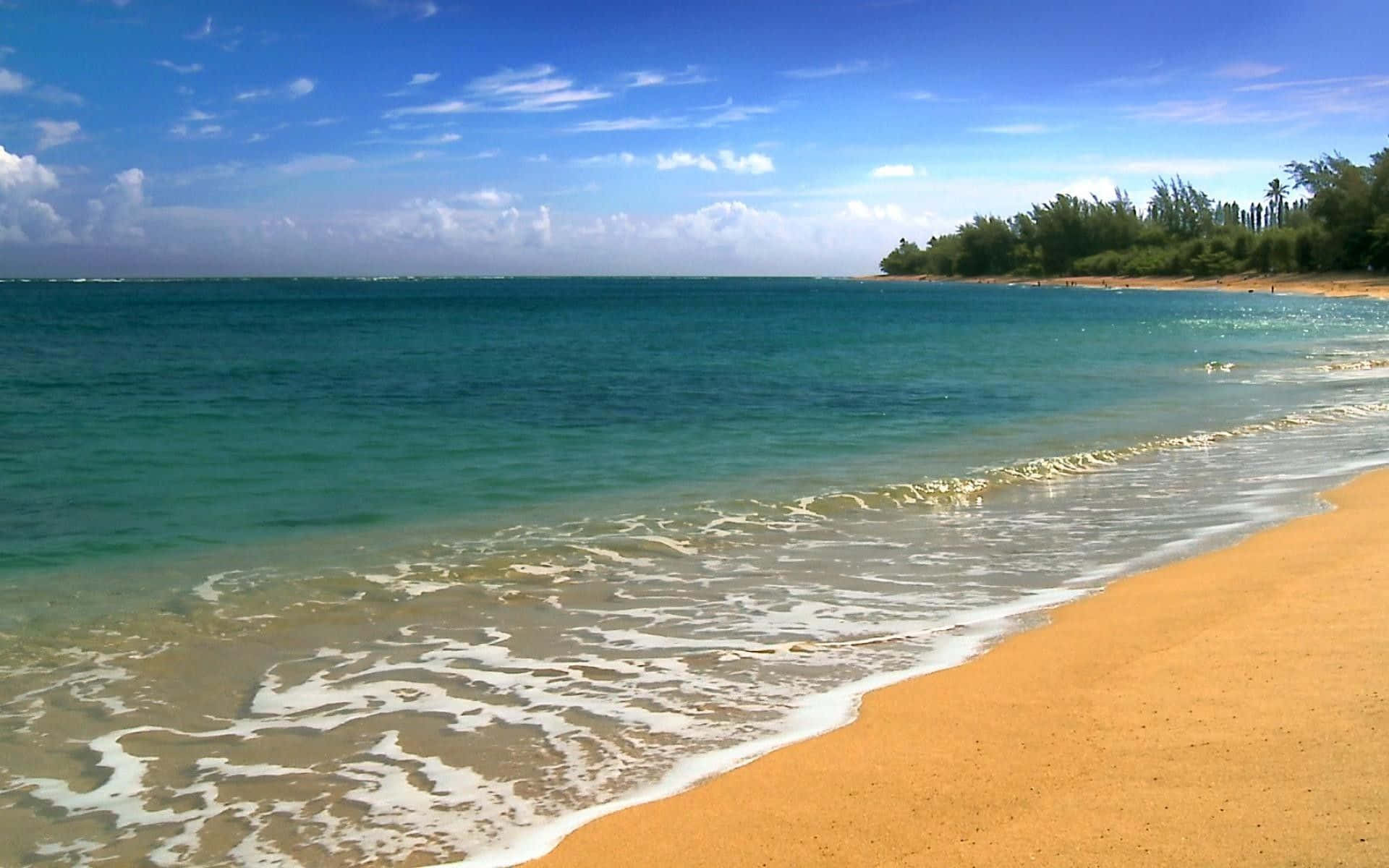 Hawaiian Beach, turquoise ocean, golden sand, Full HD Desktop Wallpaper