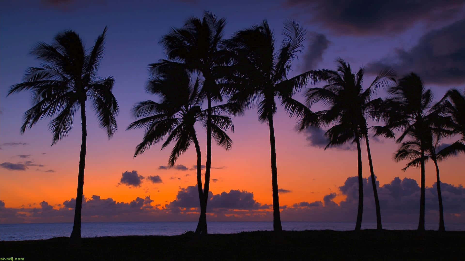 Hawaiian Beach, sunset, palm trees, Full HD Desktop Wallpaper