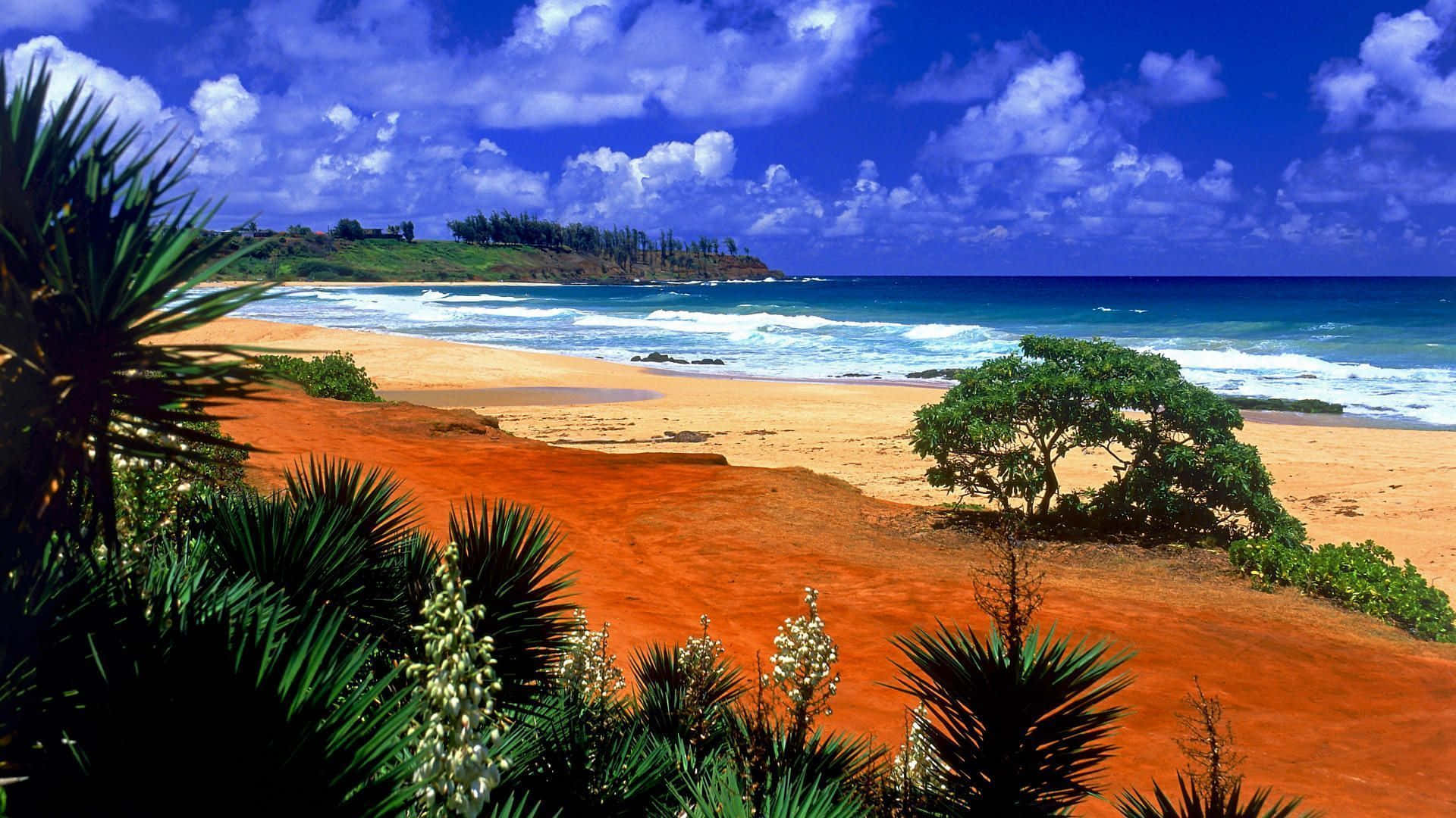 Hawaiian Beach, sunset, orange sand, Full HD Desktop Wallpaper
