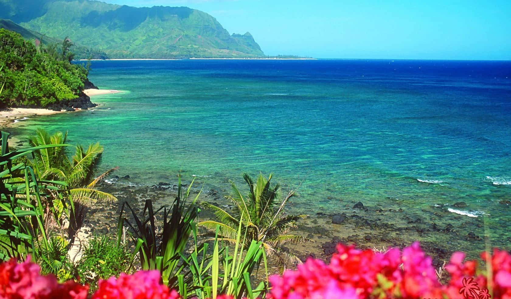 Hawaiian Beach, turquoise ocean, lush green cliffs, HD Desktop Wallpaper