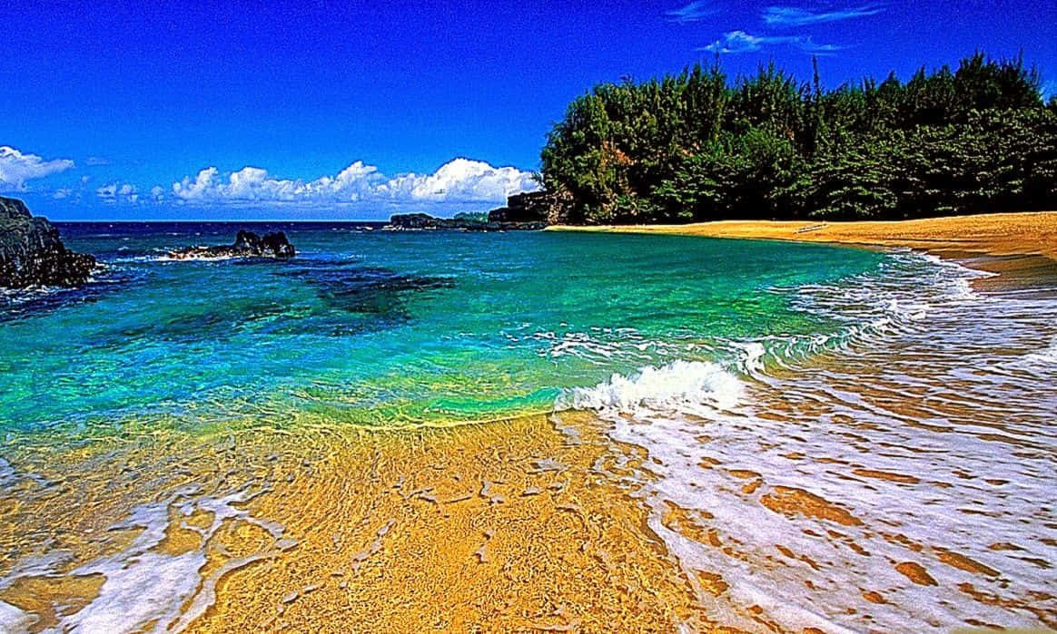 Hawaiian Beach, turquoise waves, golden sand, SD Desktop Wallpaper