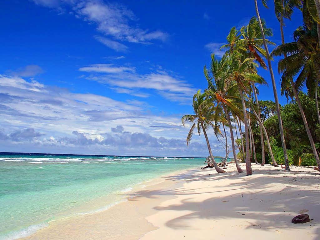 Hawaiian Beach, turquoise water, white sand, SD Desktop Wallpaper