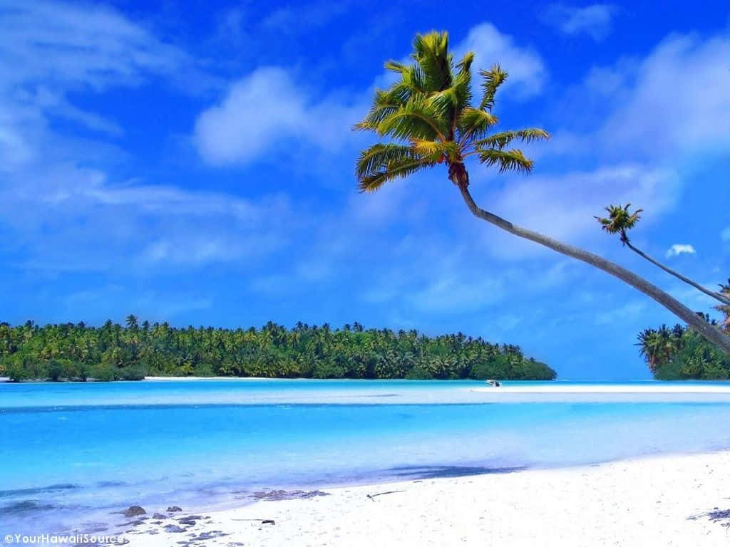 Hawaiian Beach, pristine white sand, turquoise waters, SD Desktop Wallpaper
