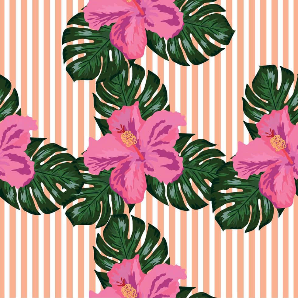 Hawaiian hibiscus, floral pattern, vibrant pink hibiscus flowers, SD Desktop Wallpaper