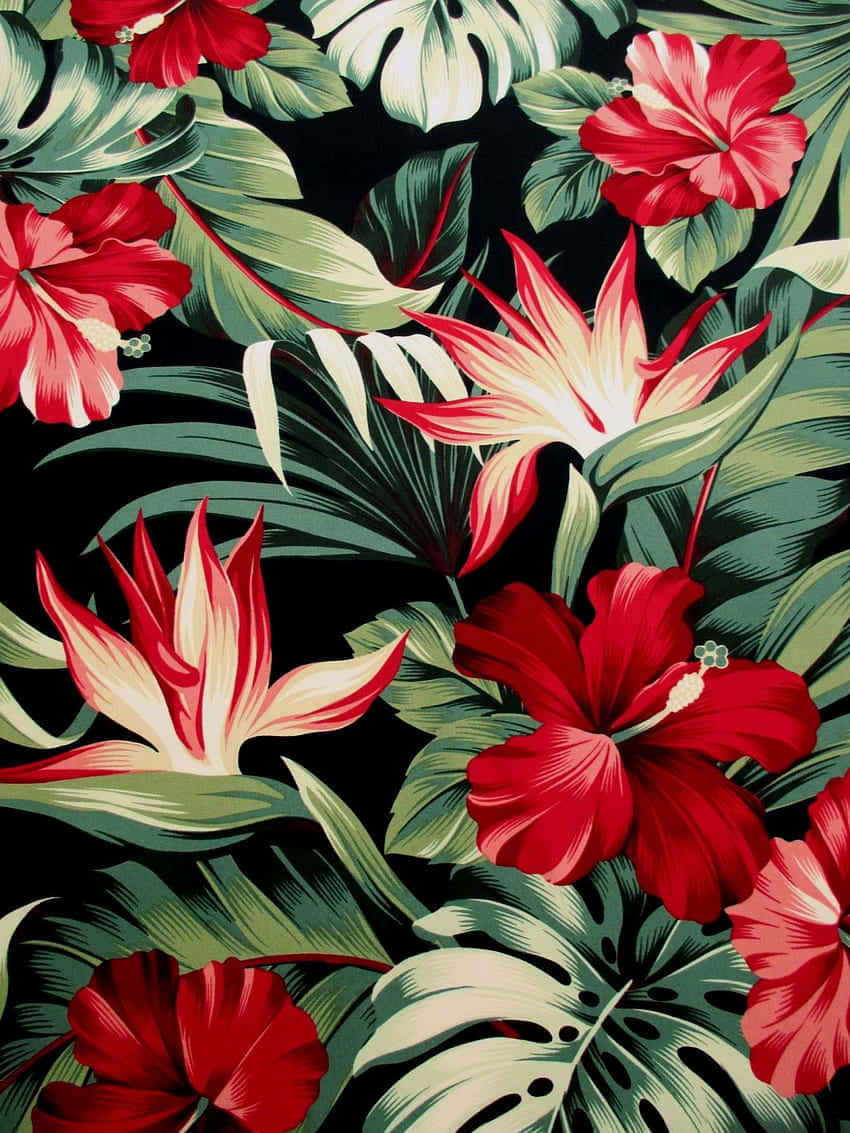 Hawaiian Floral Pattern, black background, vibrant red hibiscus, SD Phone Wallpaper