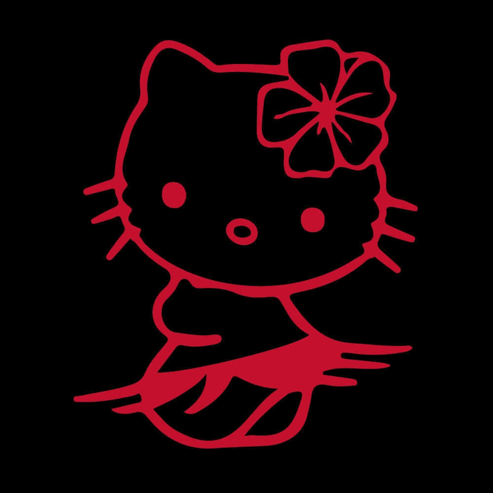 Hawaiian Hello Kitty, Hello Kitty, ballet pose, SD Desktop Wallpaper