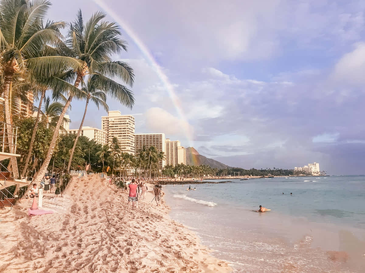 Hawaiian Island, palm trees, rainbow, SD Desktop Wallpaper