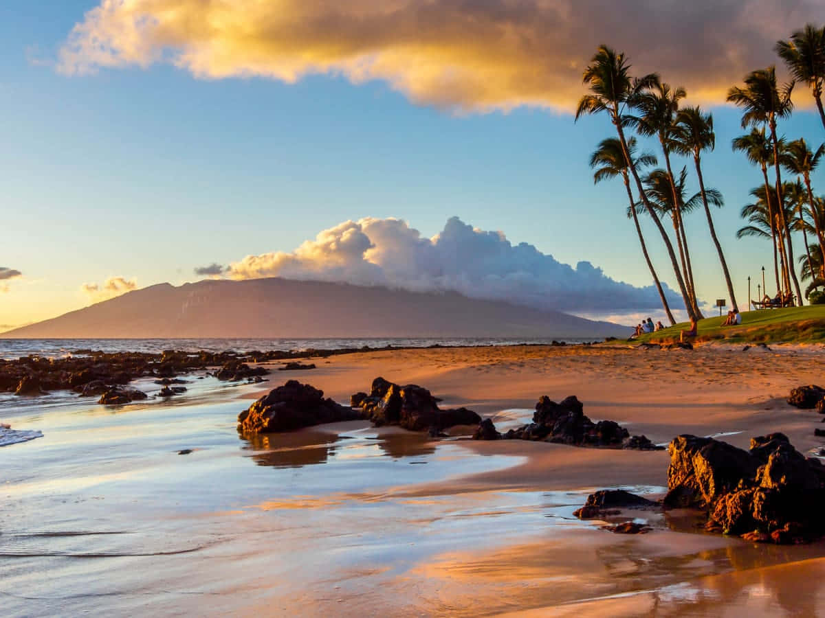 Hawaiian Island, golden sunset, tropical beach, SD Desktop Wallpaper