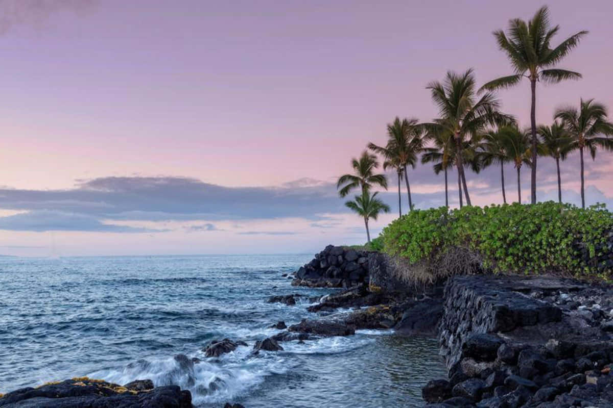 Hawaiian Island, palm trees, rocky cliff, SD Desktop Wallpaper