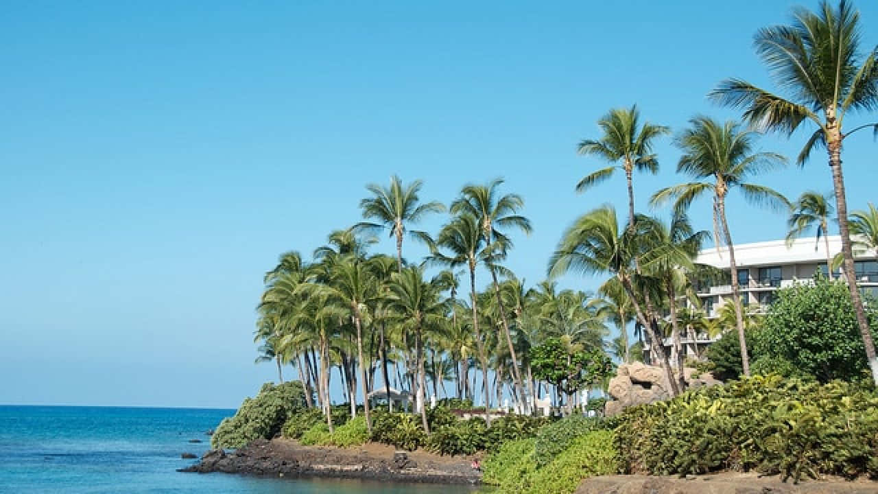 Hawaiian Island, palm trees, turquoise ocean, HD Desktop Wallpaper