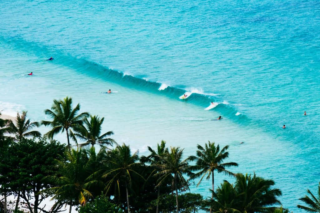 Hawaiian Island, turquoise waves, palm trees, SD Desktop Wallpaper