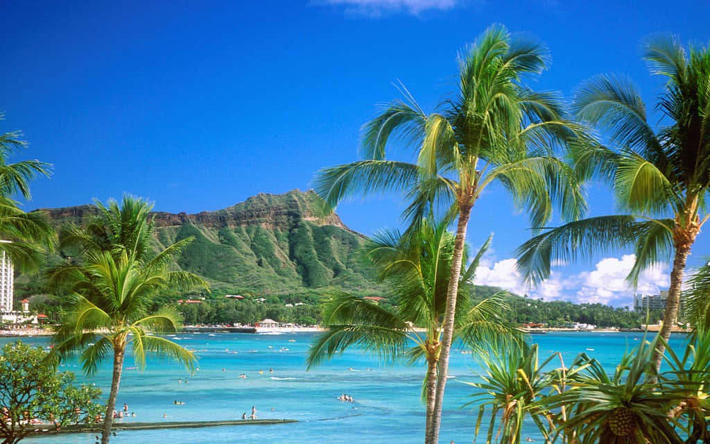 Hawaiian Island, tropical beach, turquoise waters, SD Desktop Wallpaper