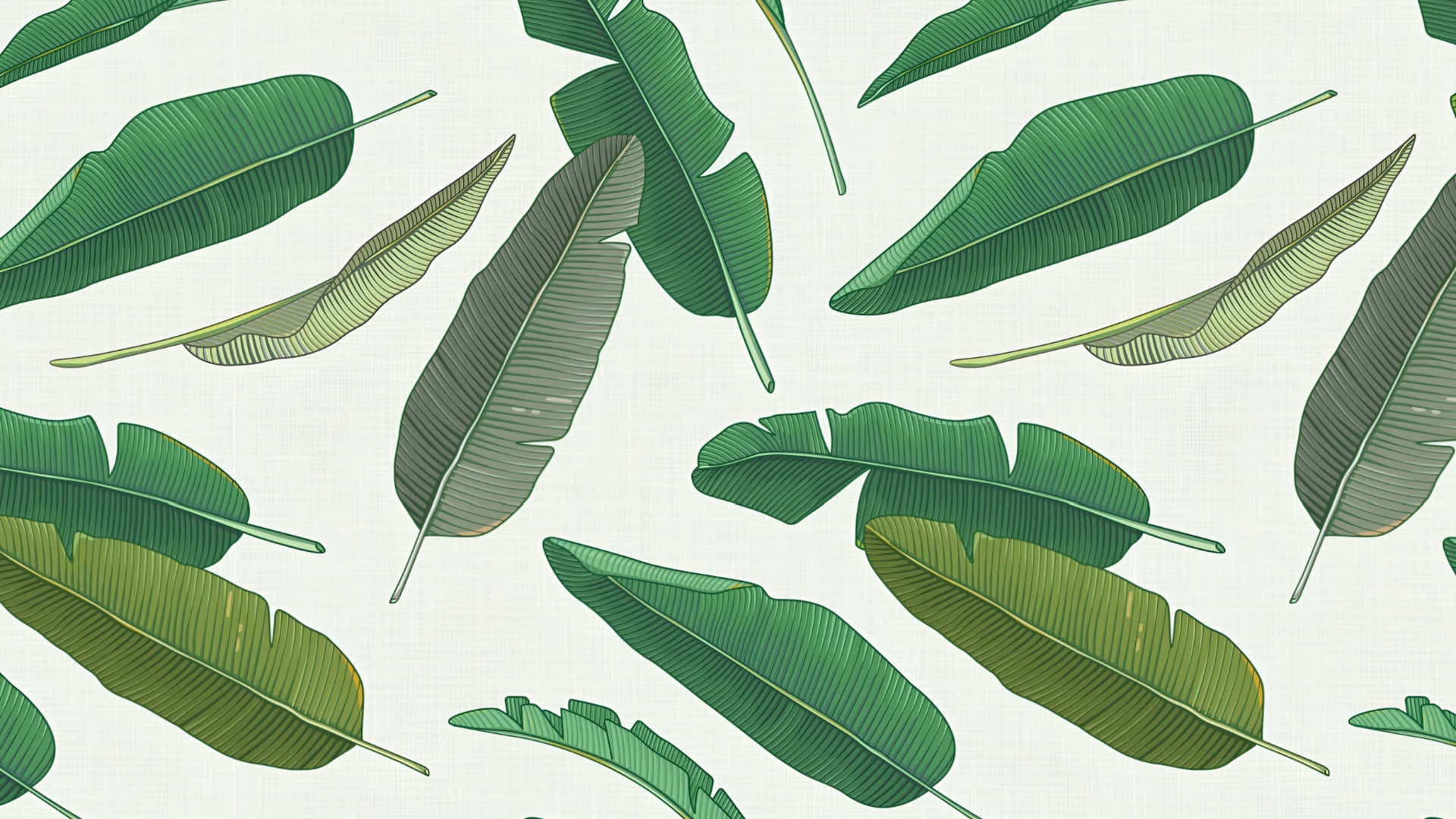 Hawaiian, banana leaf pattern, tropical banana leaves, Full HD Desktop Wallpaper