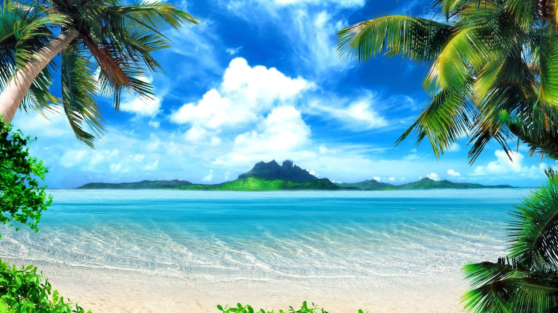 Hawaiian, tropical beach, palm fronds, Full HD Desktop Wallpaper