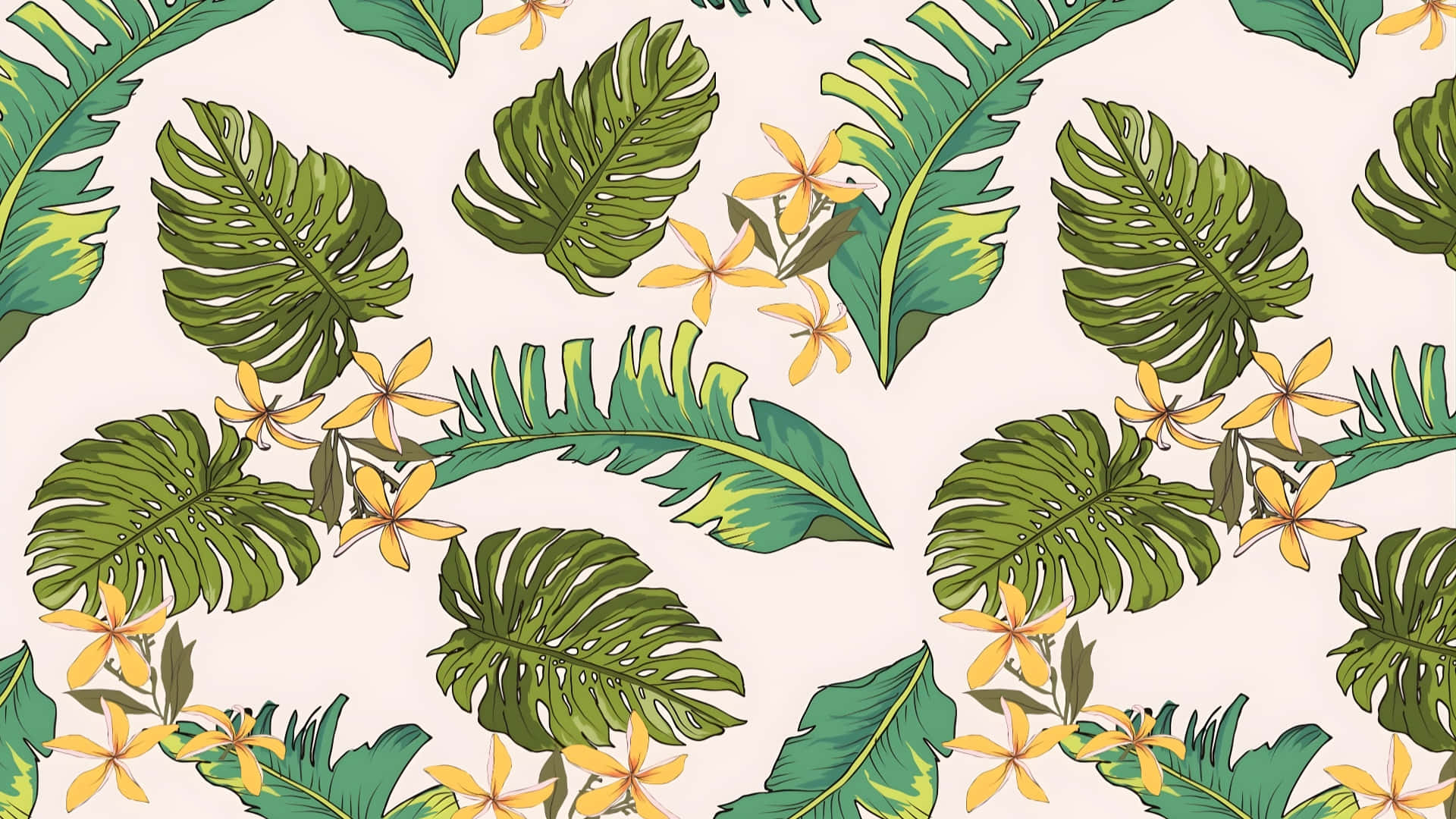 Hawaiian, tropical leaf pattern, monstera leaves, Full HD Desktop Wallpaper
