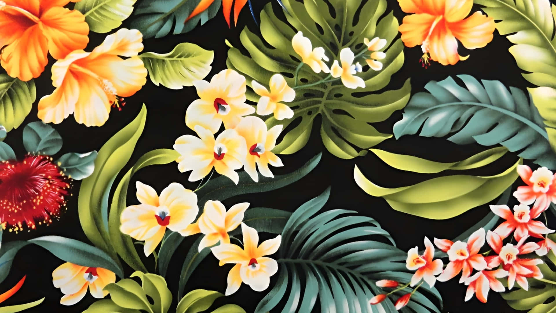 Hawaiian, floral pattern, tropical flowers, Full HD Desktop Wallpaper