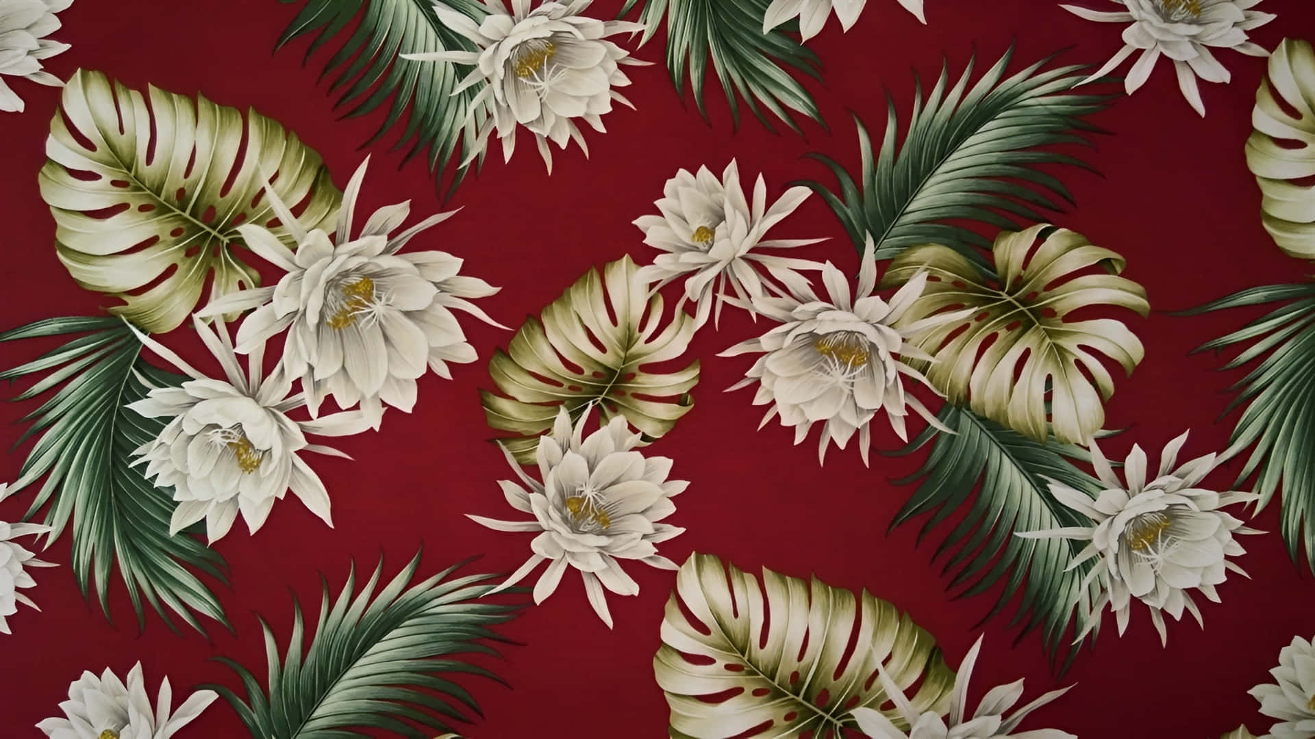 Hawaiian, tropical floral pattern, white cactus flowers, Full HD Desktop Wallpaper