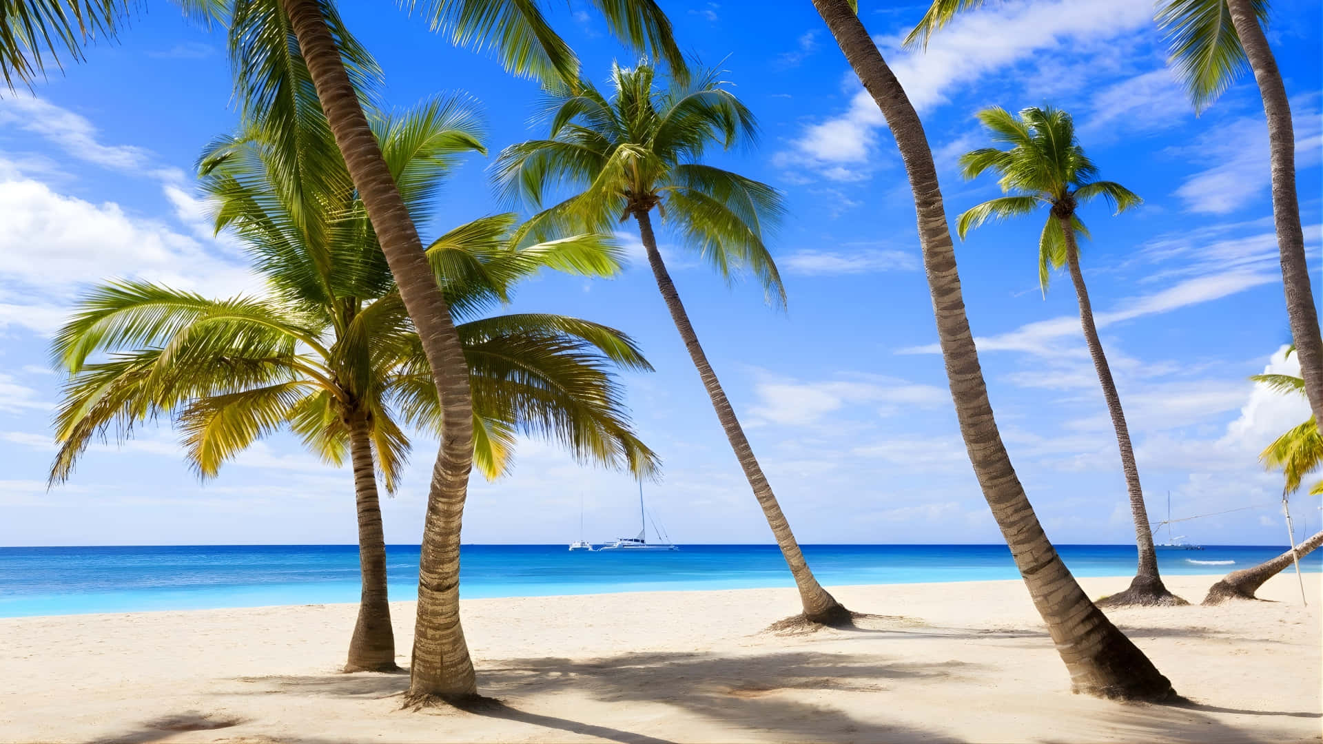 Hawaiian, tropical beach paradise, palm trees, Full HD Desktop Wallpaper