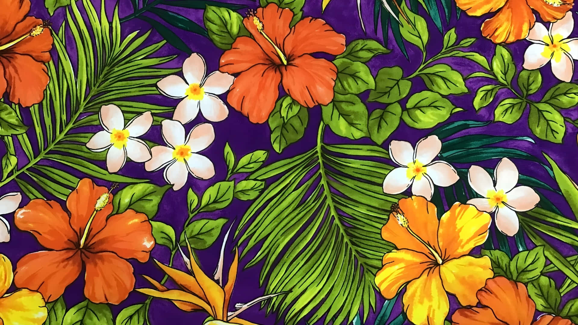 Hawaiian, tropical floral pattern, vibrant tropical flowers, Full HD Desktop Wallpaper