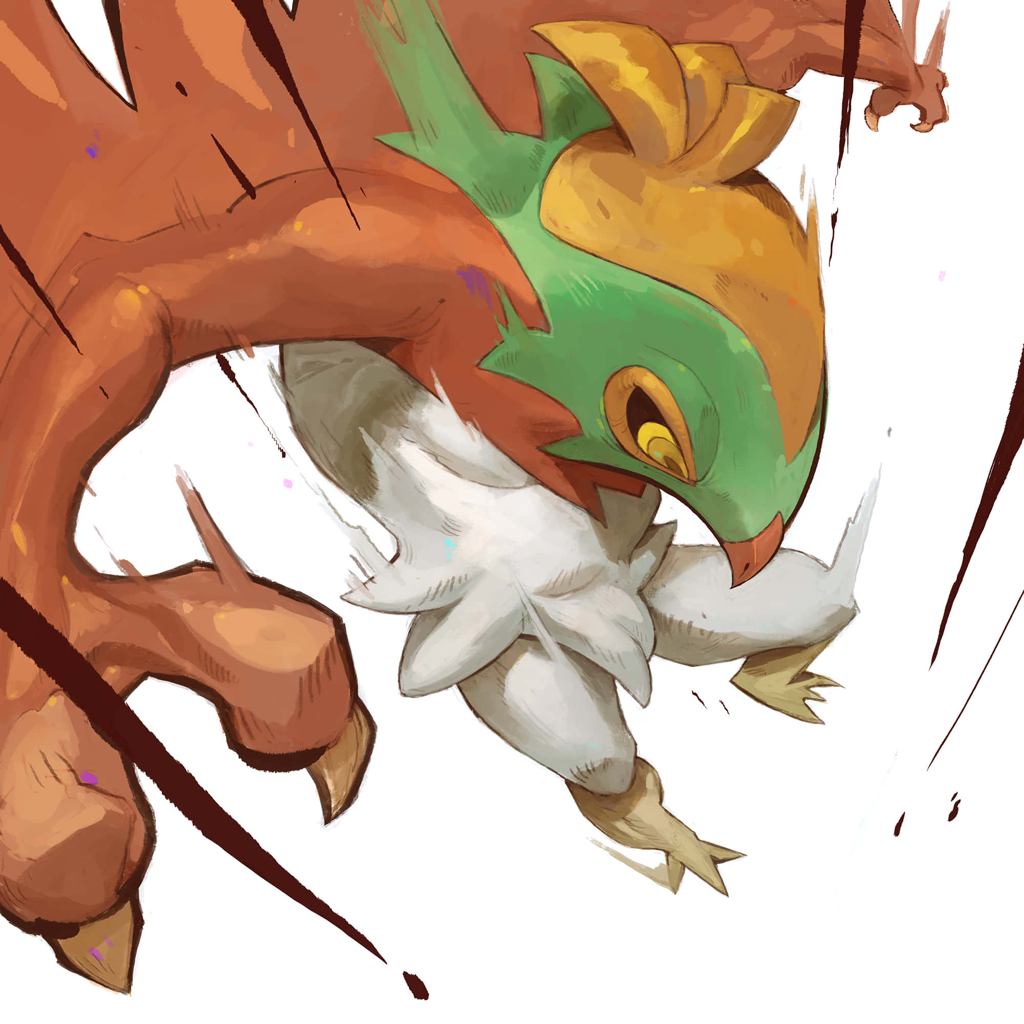 Hawlucha, green and orange bird-like creature, white feathers, Full HD Desktop Wallpaper