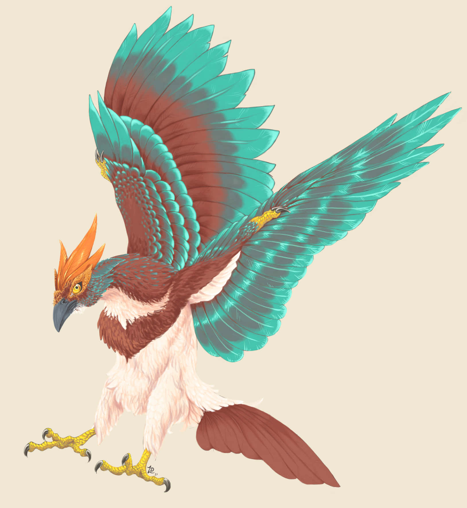 Hawlucha, turquoise, brown, HD Phone Wallpaper
