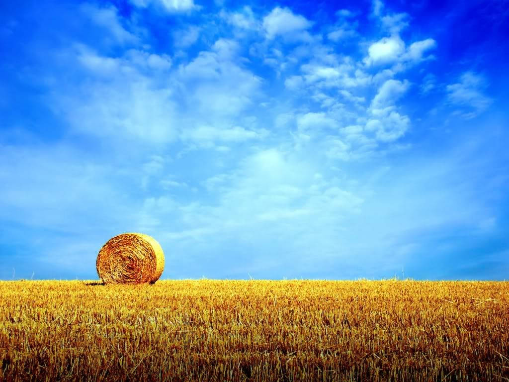 Hay Day, blue sky, golden hay bale, SD Desktop Wallpaper