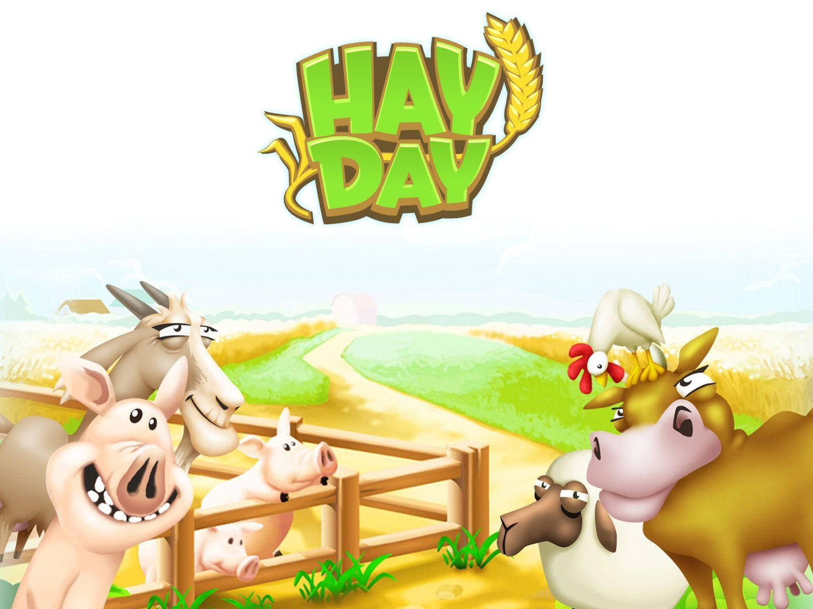 Hay Day, farm animals, wooden fence, HD Desktop Wallpaper