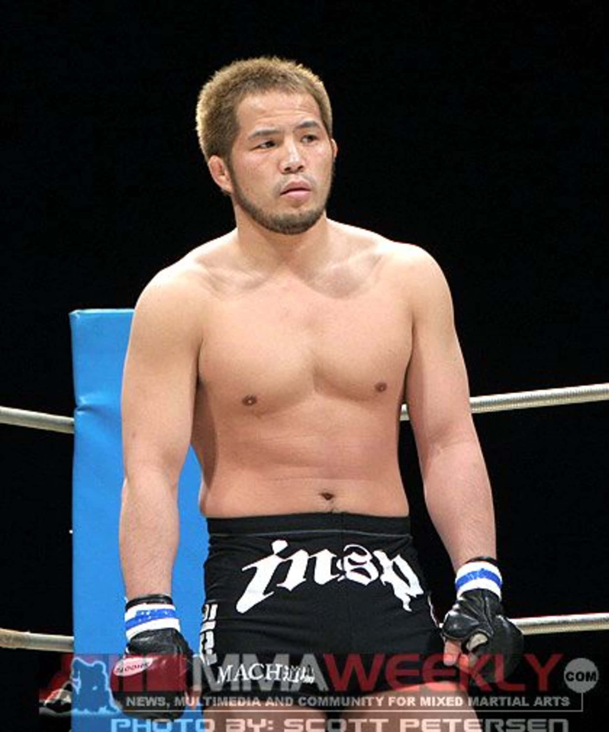 Hayato Sakurai, mixed martial artist, ring, Full HD Phone Wallpaper