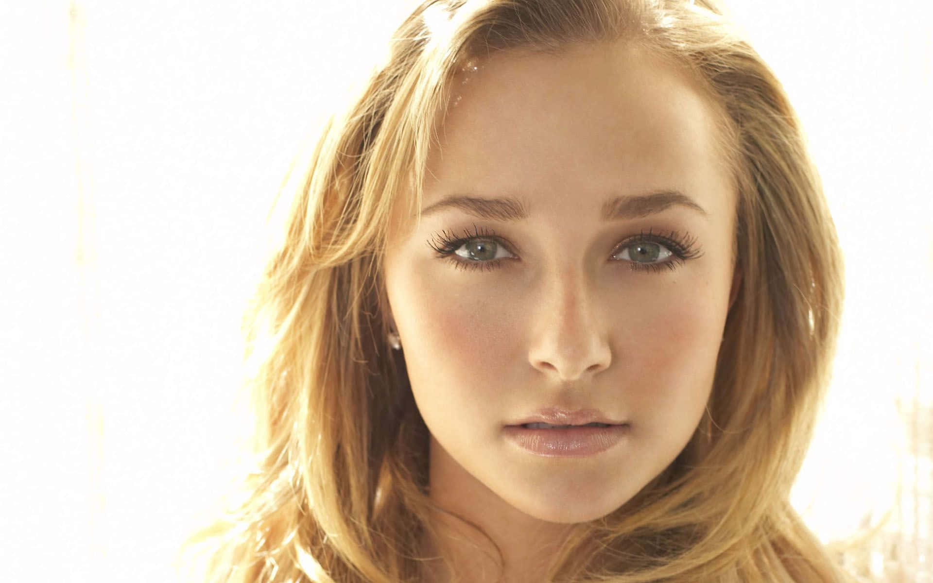 Hayden Panettiere, golden hair, soft blue eyes, Full HD Desktop Wallpaper