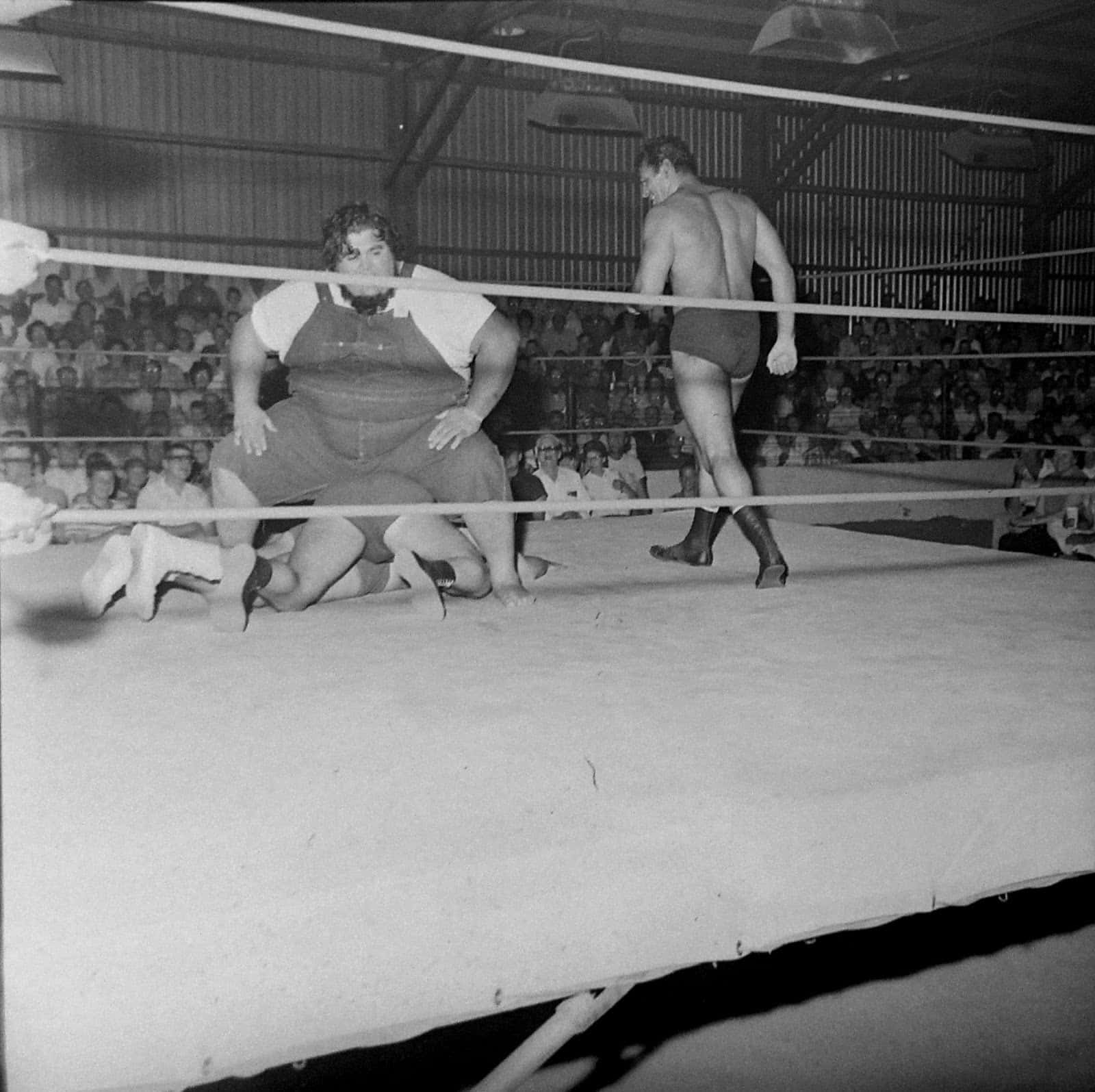 Haystacks Calhoun, three wrestlers, fairgrounds expo, HD Desktop Wallpaper